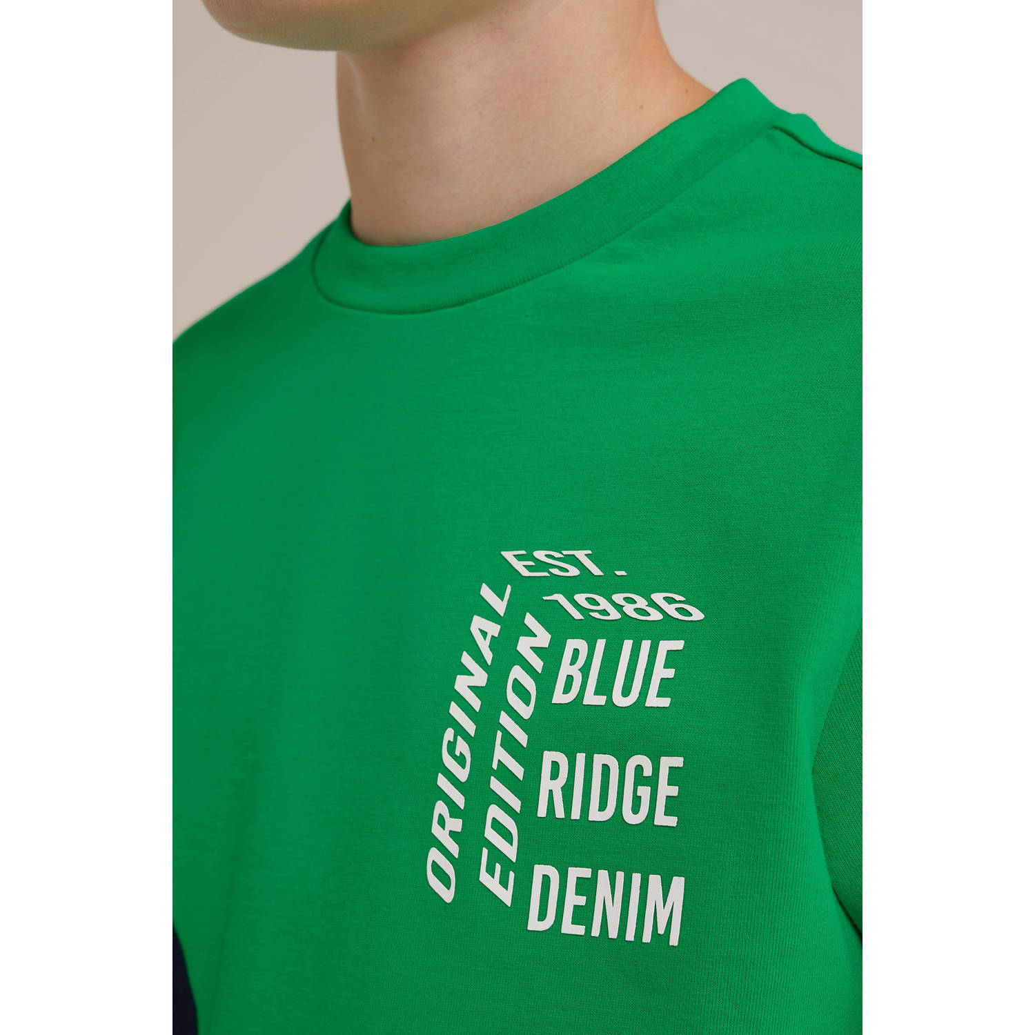 WE Fashion longsleeve groen wit blauw