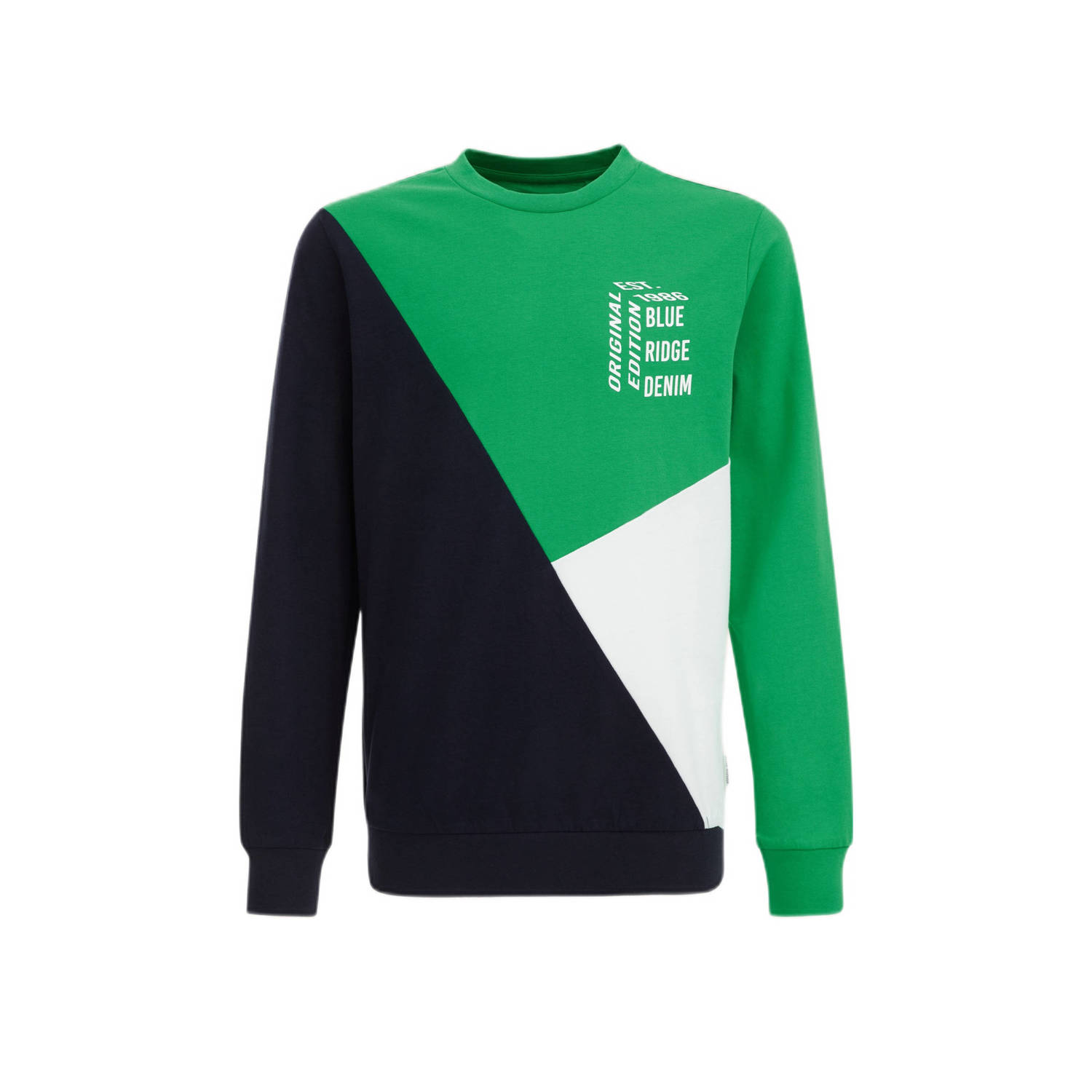 WE Fashion longsleeve groen wit blauw Jongens Katoen Ronde hals Meerkleurig 170 176