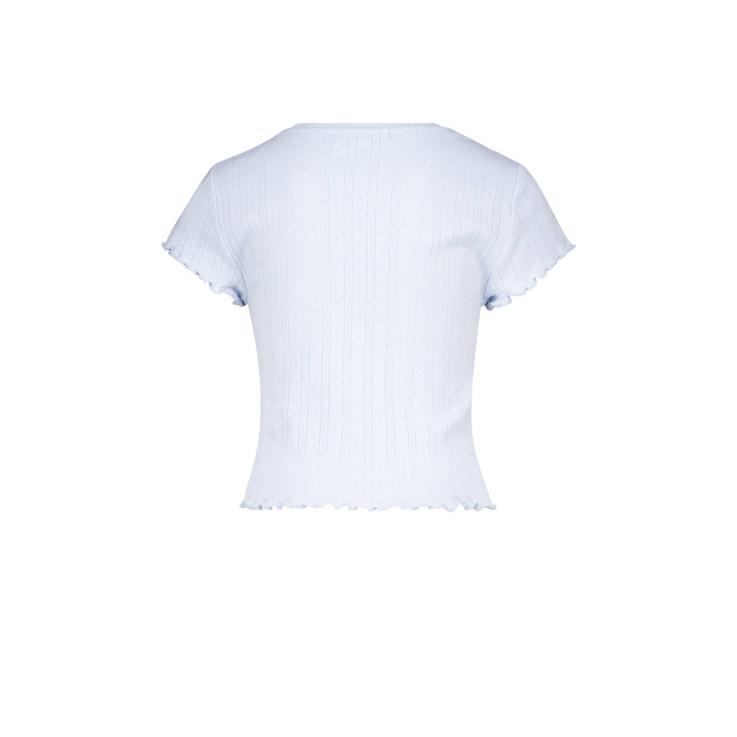 America Today T-shirt met all over print en textuur babyblauw