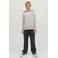 JACK & JONES JUNIOR baggy fit jeans JJIALEX JJORIGINAL black denim