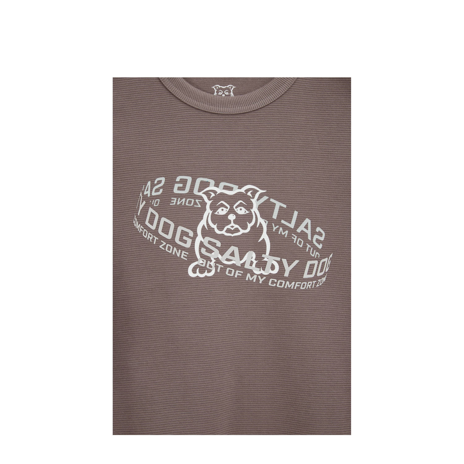 Salty Dog longsleeve met printopdruk lichtbruin
