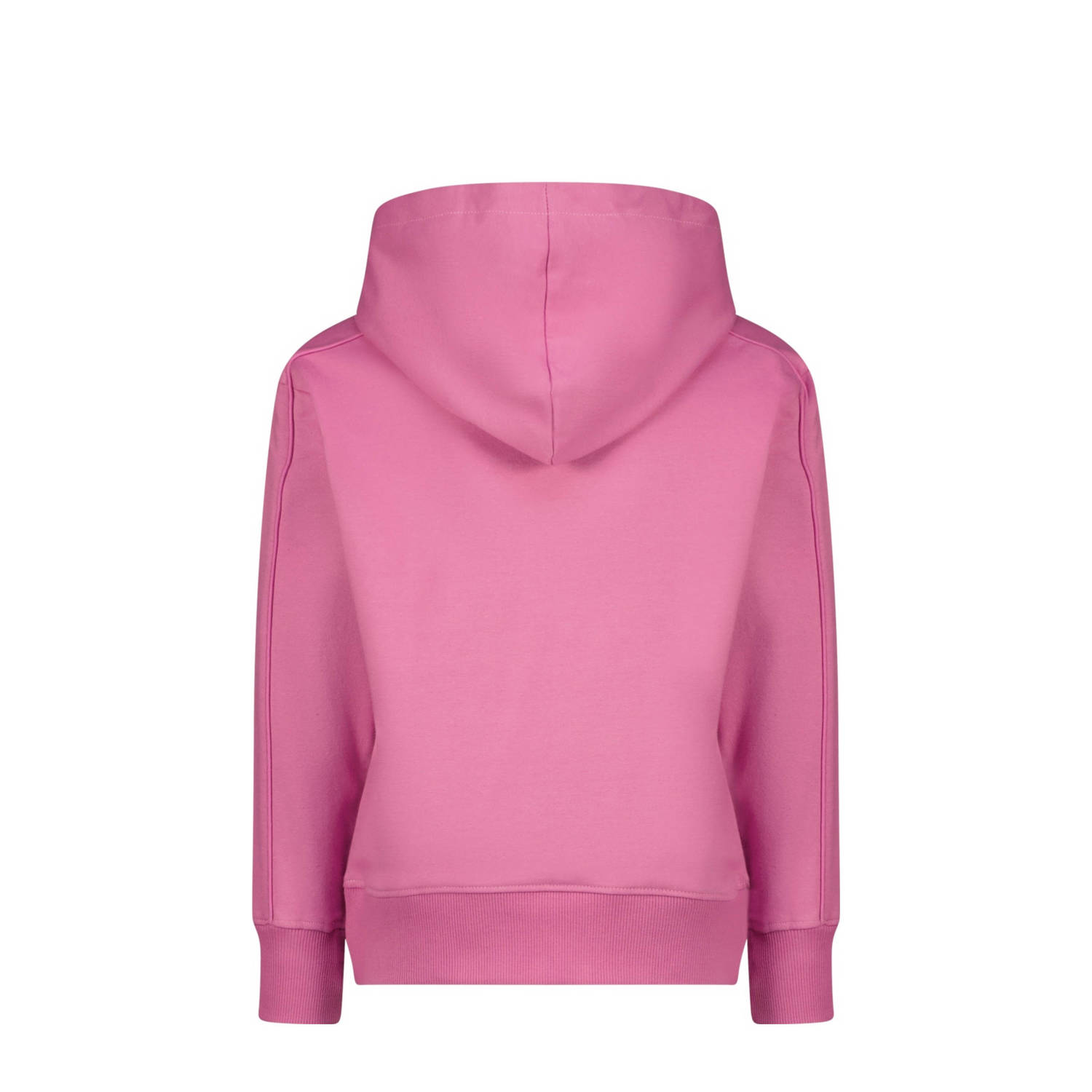 Raizzed hoodie Nasra roze