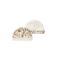 Your Wishes reversible baby muts wit/bruin/groen
