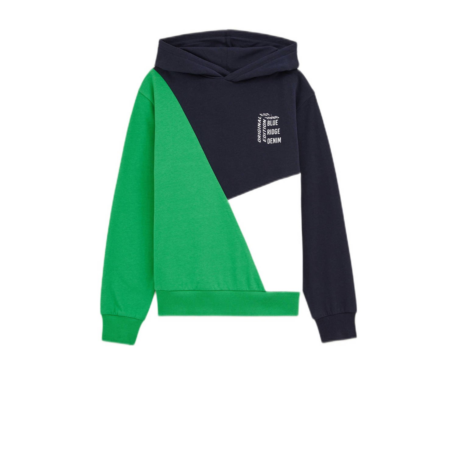 WE Fashion hoodie groen Trui Jongens Sweat Capuchon Meerkleurig 158 164