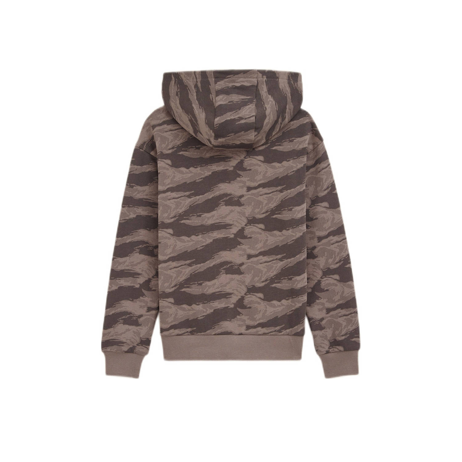 Salty Dog hoodie grijs