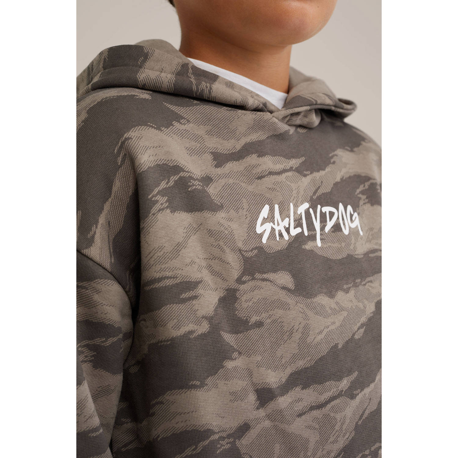 Salty Dog hoodie grijs
