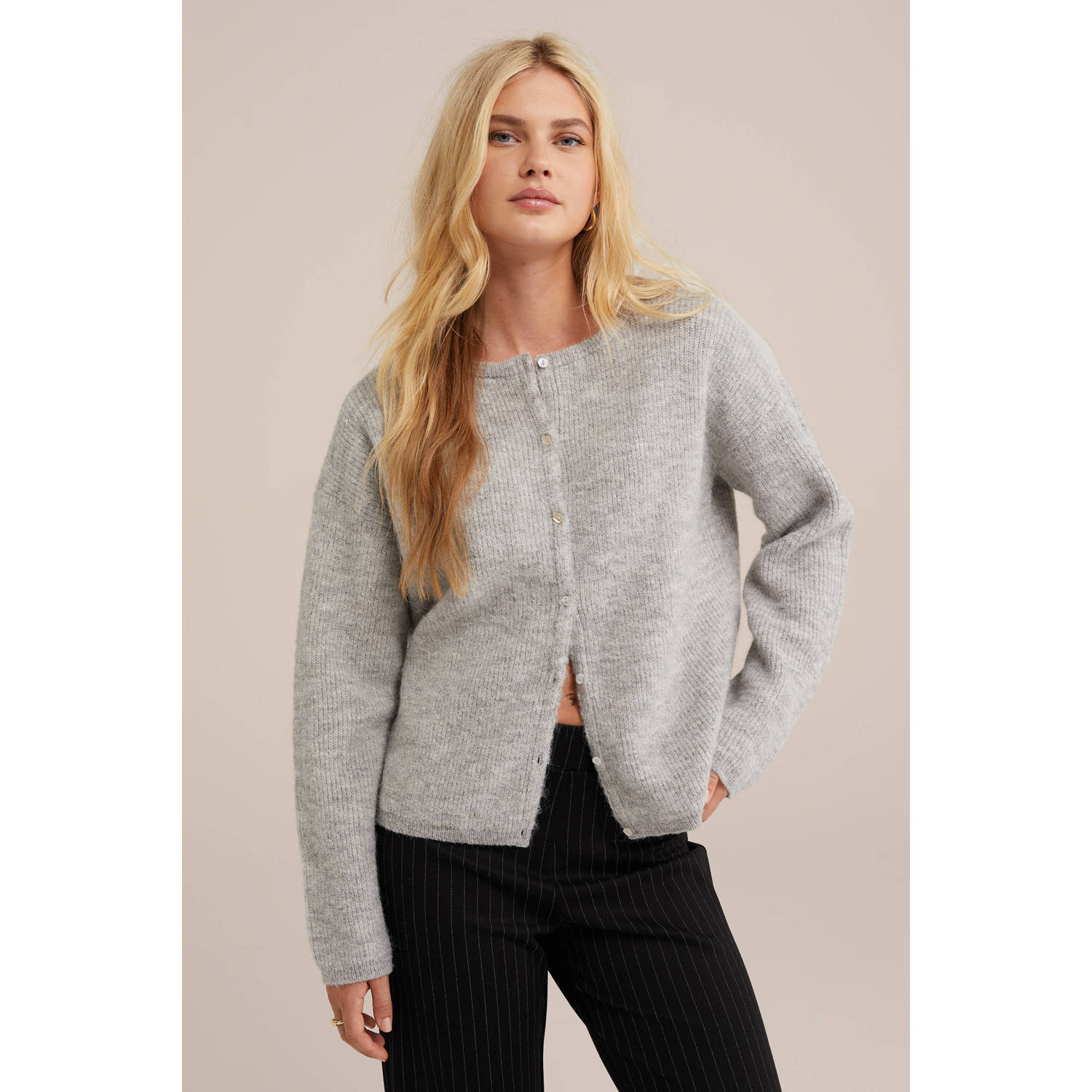 WE Fashion fijngebreid vest grijs