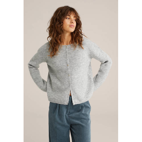 WE Fashion fijngebreid vest grijs afbeelding