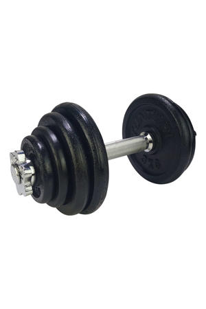  dumbbell gietijzer 15kg