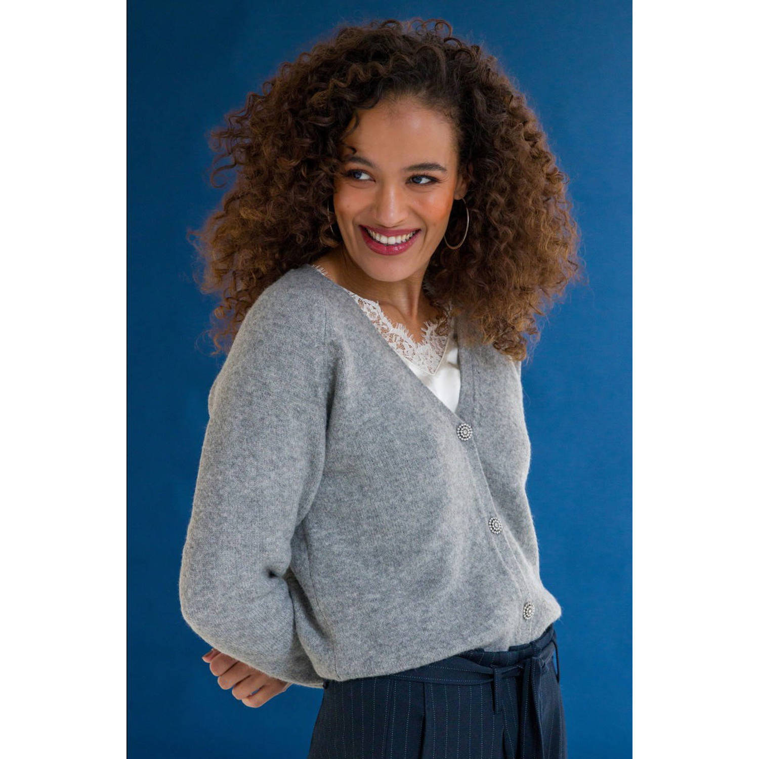 Ivy Beau fijngebreid vest grijs