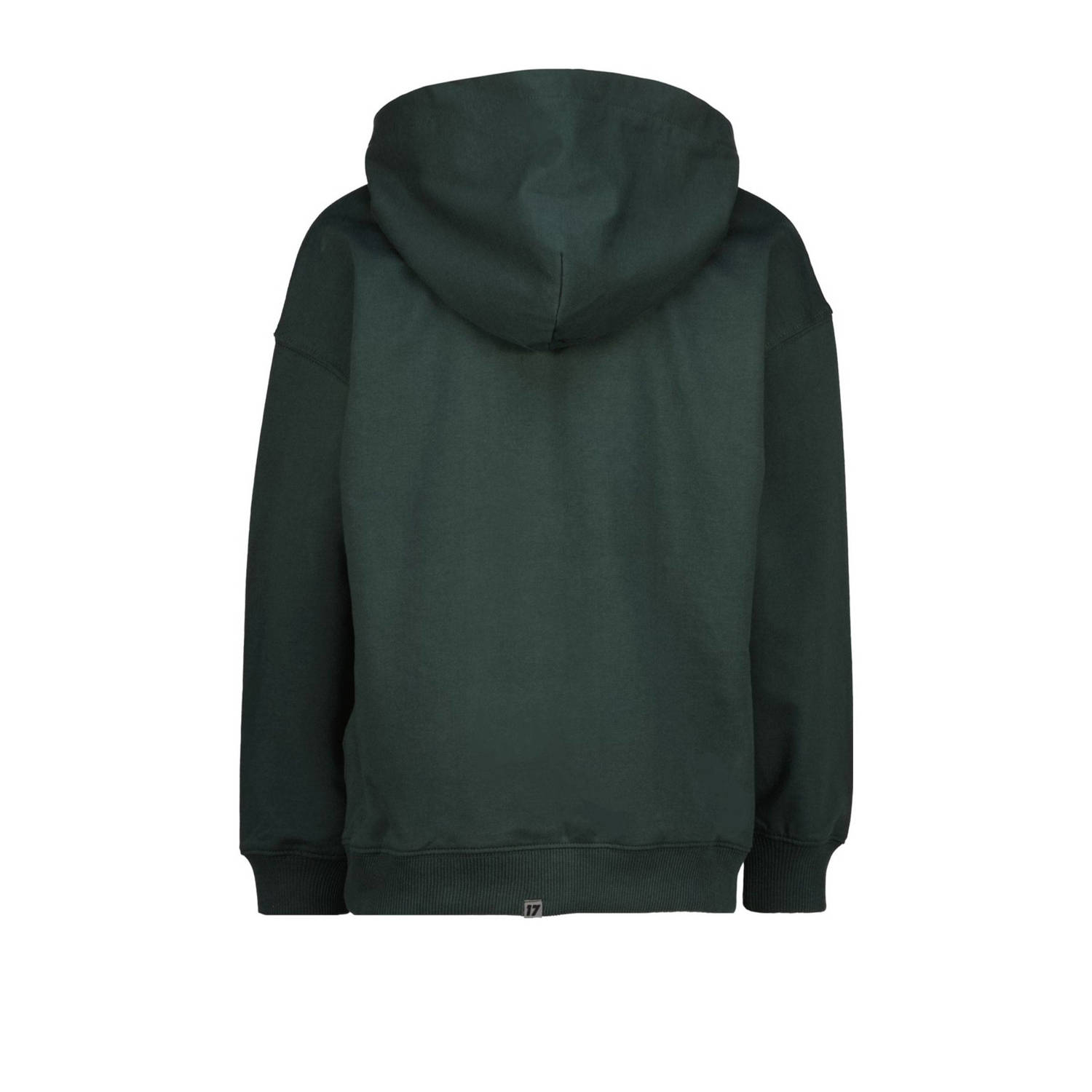 Vingino x Daley hoodie groen