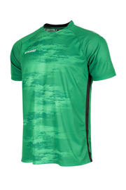 thumbnail: Stanno senior voetbalshirt Holi groen