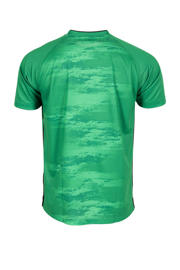 thumbnail: Stanno senior voetbalshirt Holi groen
