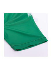 thumbnail: Stanno senior voetbalshirt Holi groen