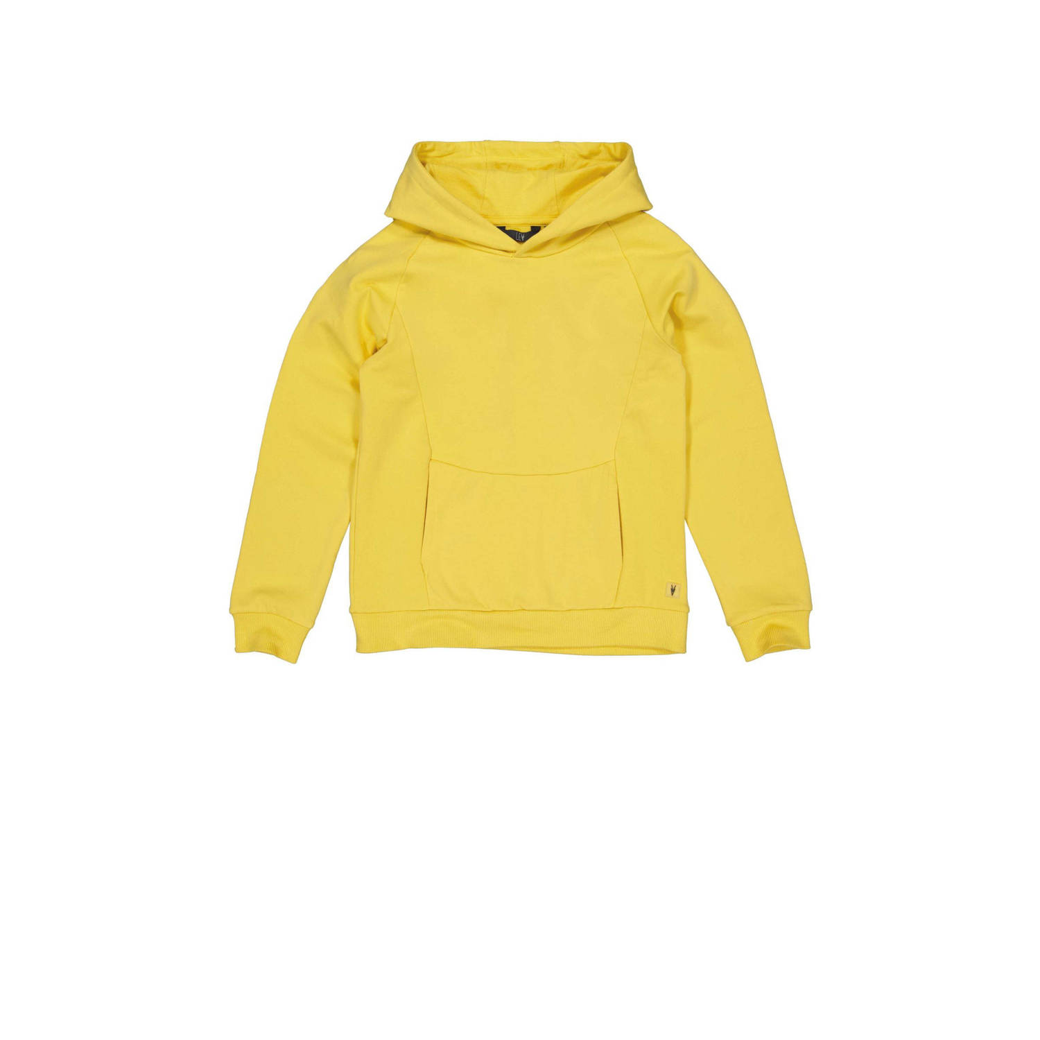 LEVV hoodie geel