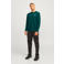 JACK & JONES regular fit longsleeve JJALVIS met printopdruk deep teal