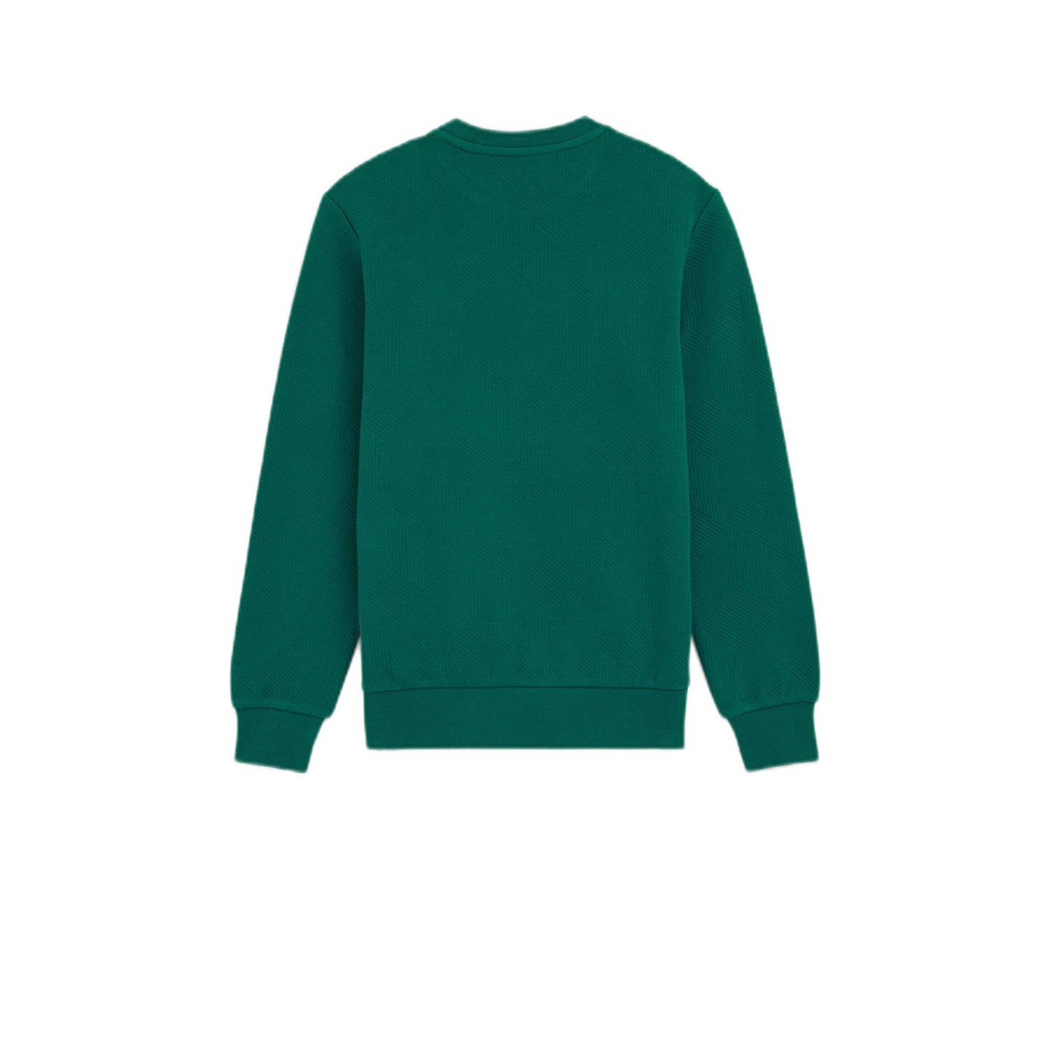 WE Fashion Blue Ridge sweater donkergroen