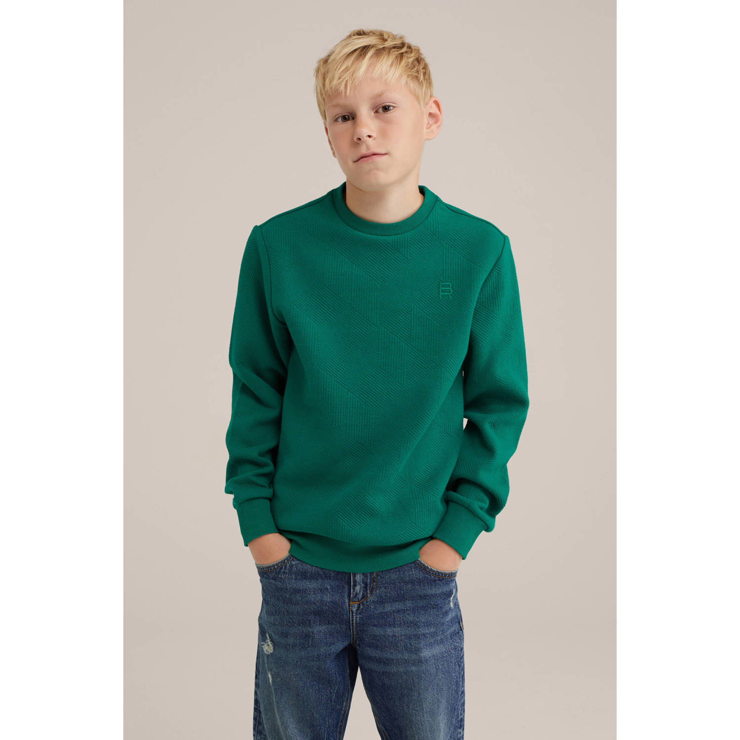 WE Fashion Blue Ridge sweater donkergroen
