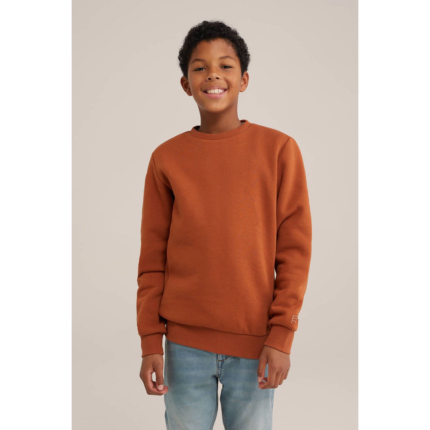 WE Fashion sweater bruin