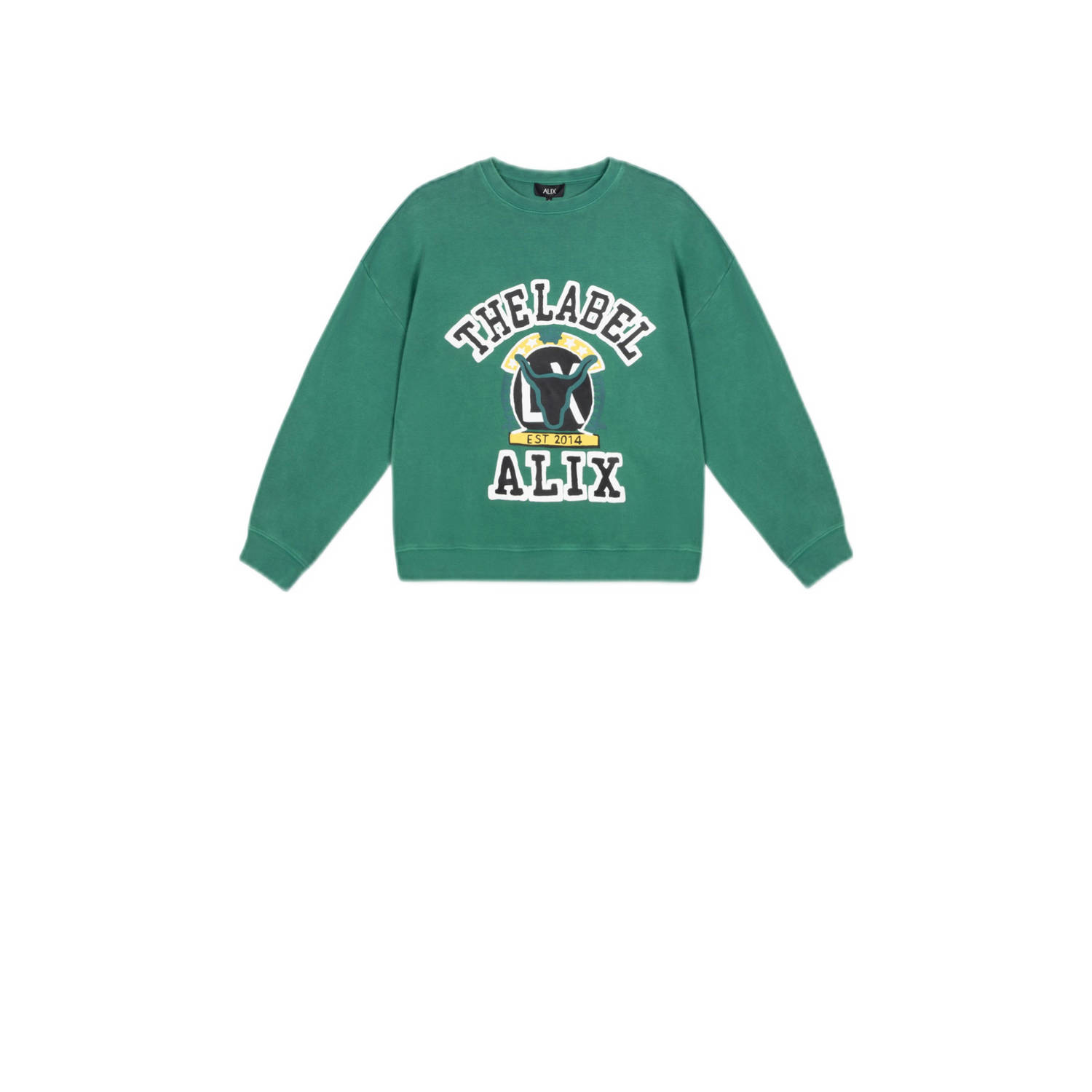ALIX THE LABEL Dames Truien & Vesten Ladies Knitted Vintage Sweater Groen