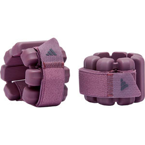 gewichten 0,5 kg (set van 2)