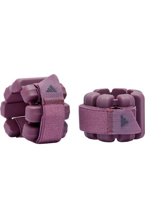 gewichten 0,5 kg (set van 2)