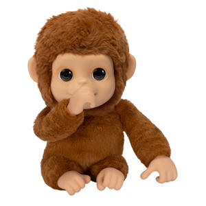 My Baby Monkey