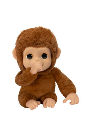 My Baby Monkey