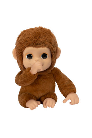 My Baby Monkey