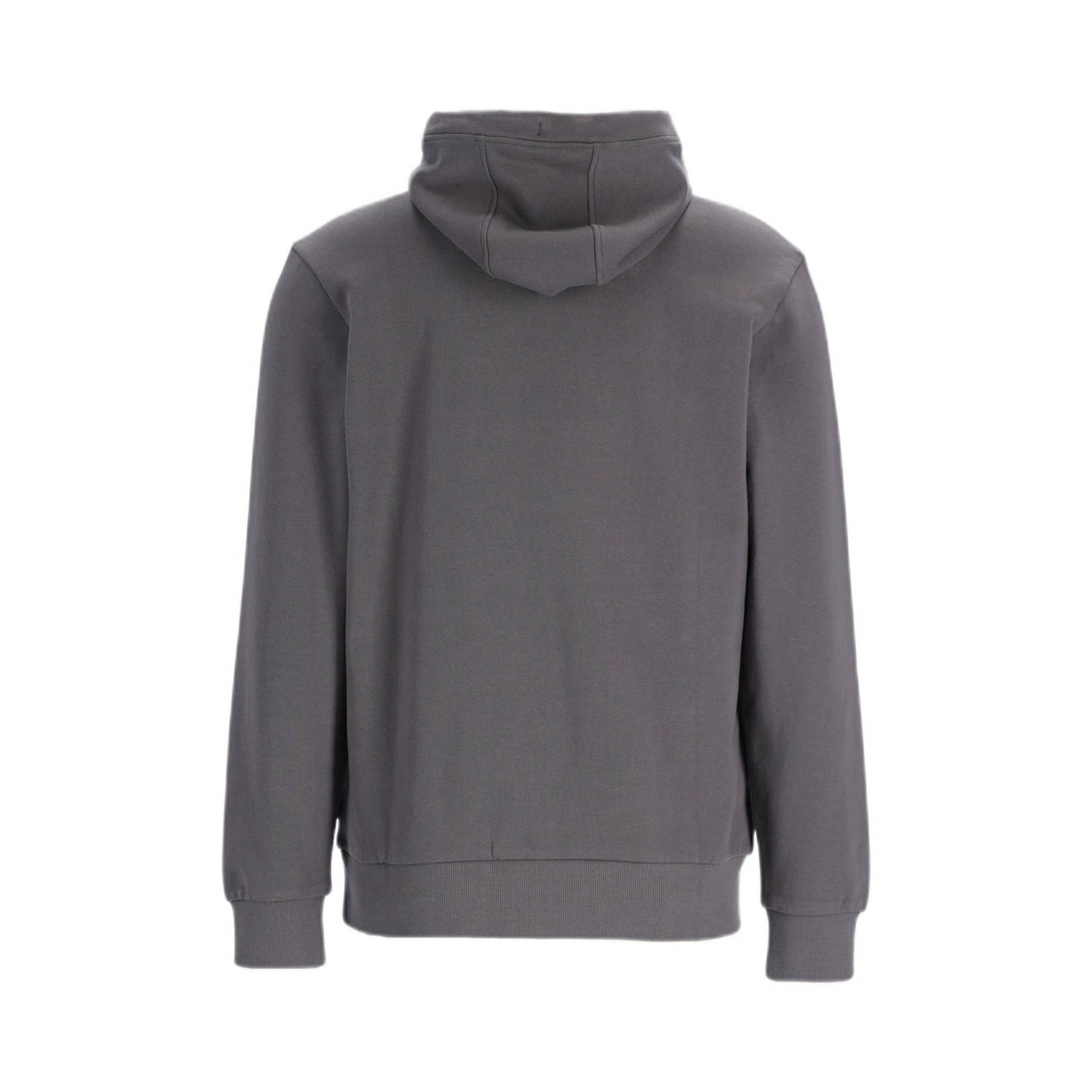 CHASIN' hoodie Ronny grijs