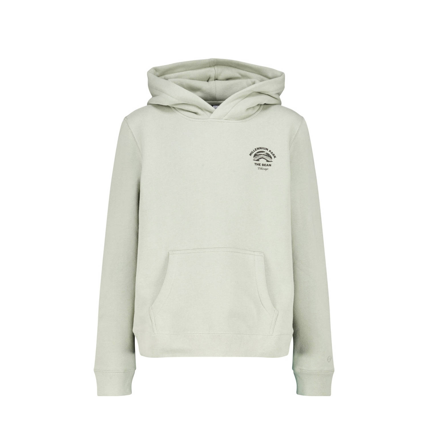 America Today hoodie mintgroen