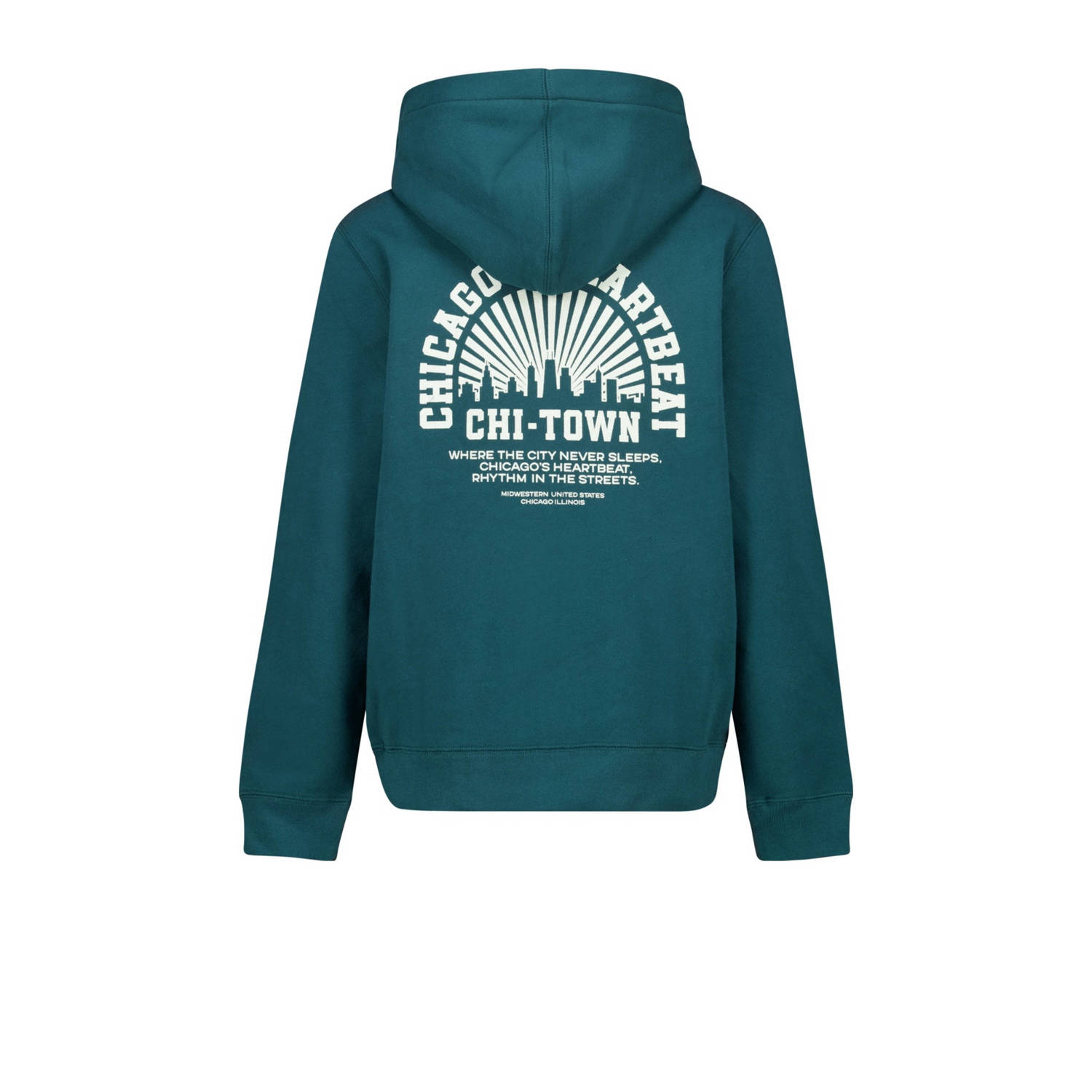 America Today hoodie groen