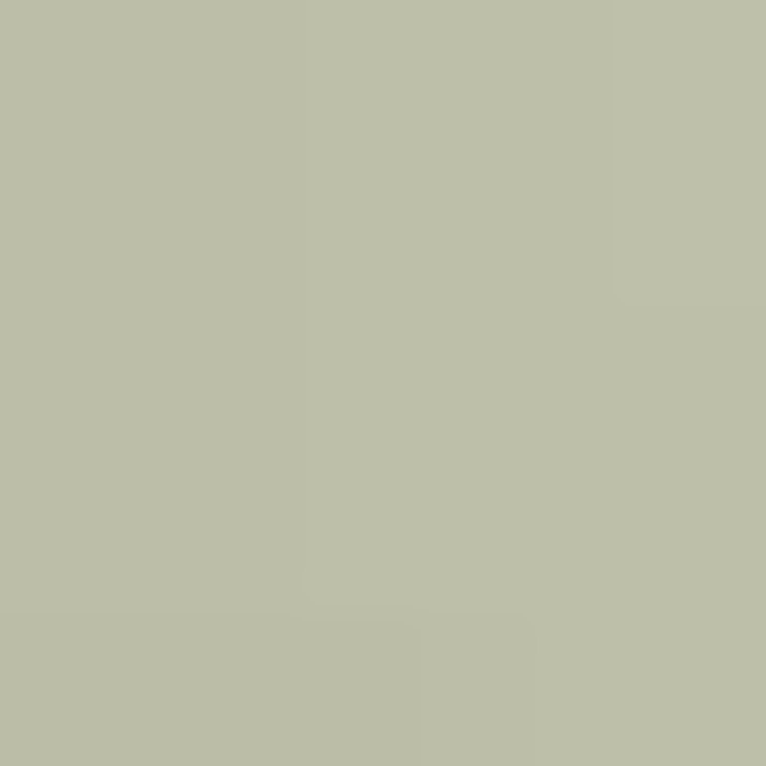 America Today regenjas taupe