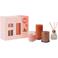 Bolsius geschenkset - Juicy Bliss - peach (set van 4)