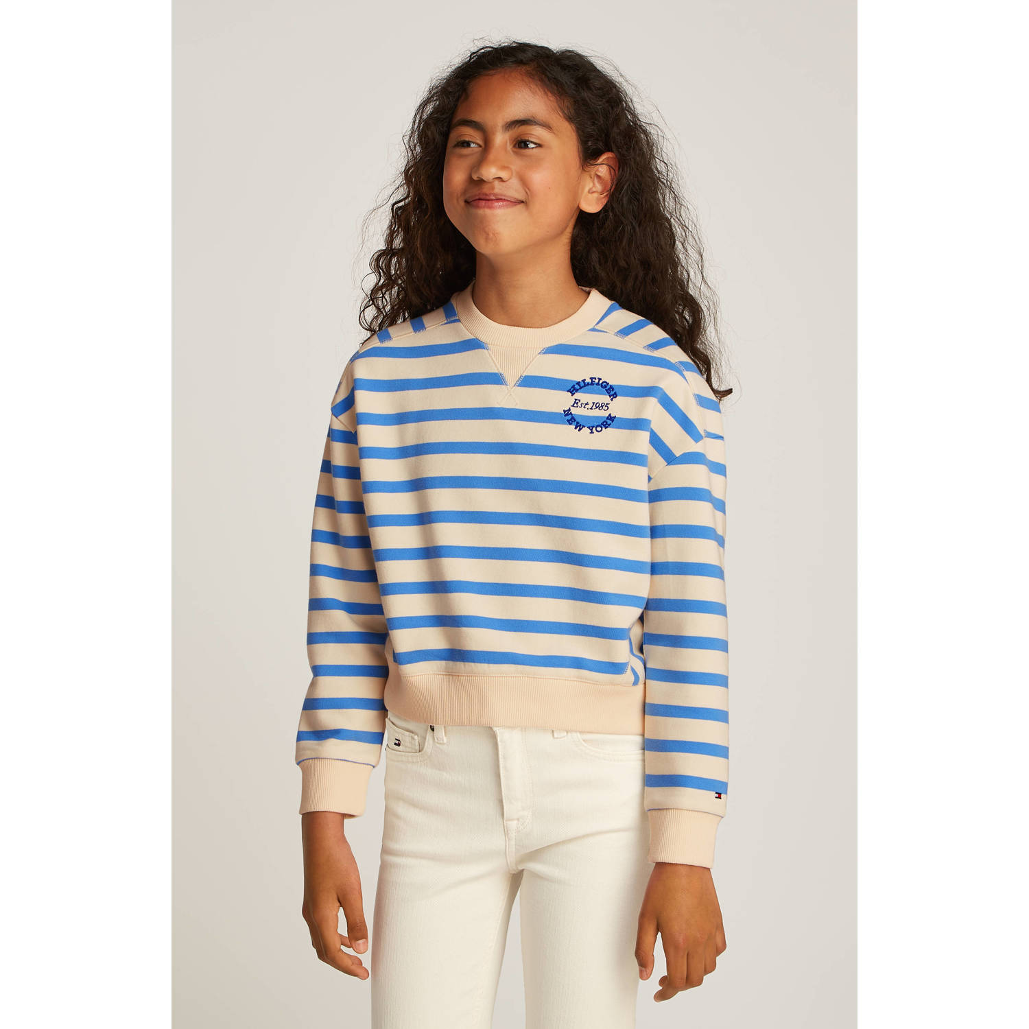 Tommy Hilfiger sweater blauw