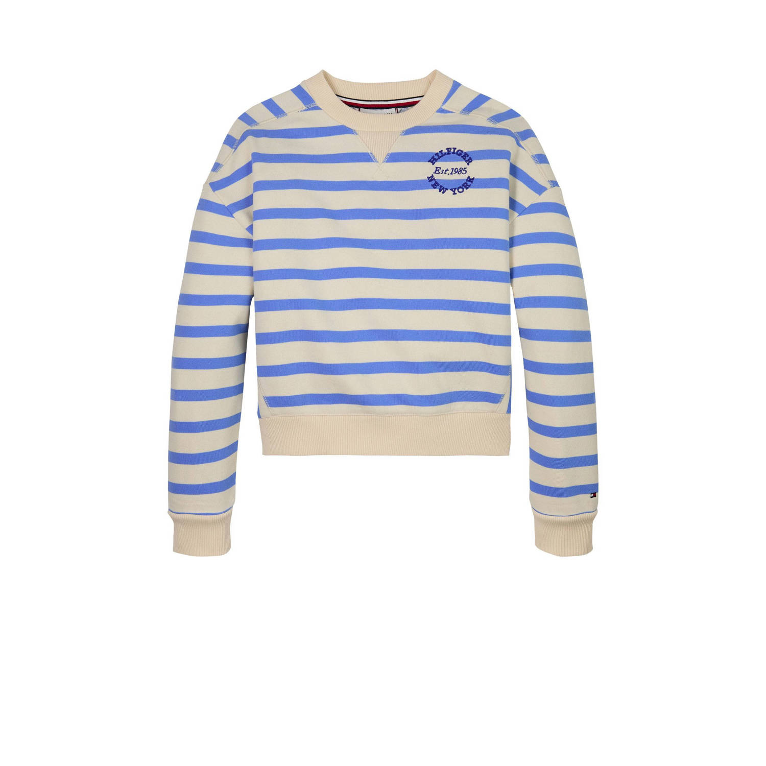 Tommy Hilfiger sweater blauw