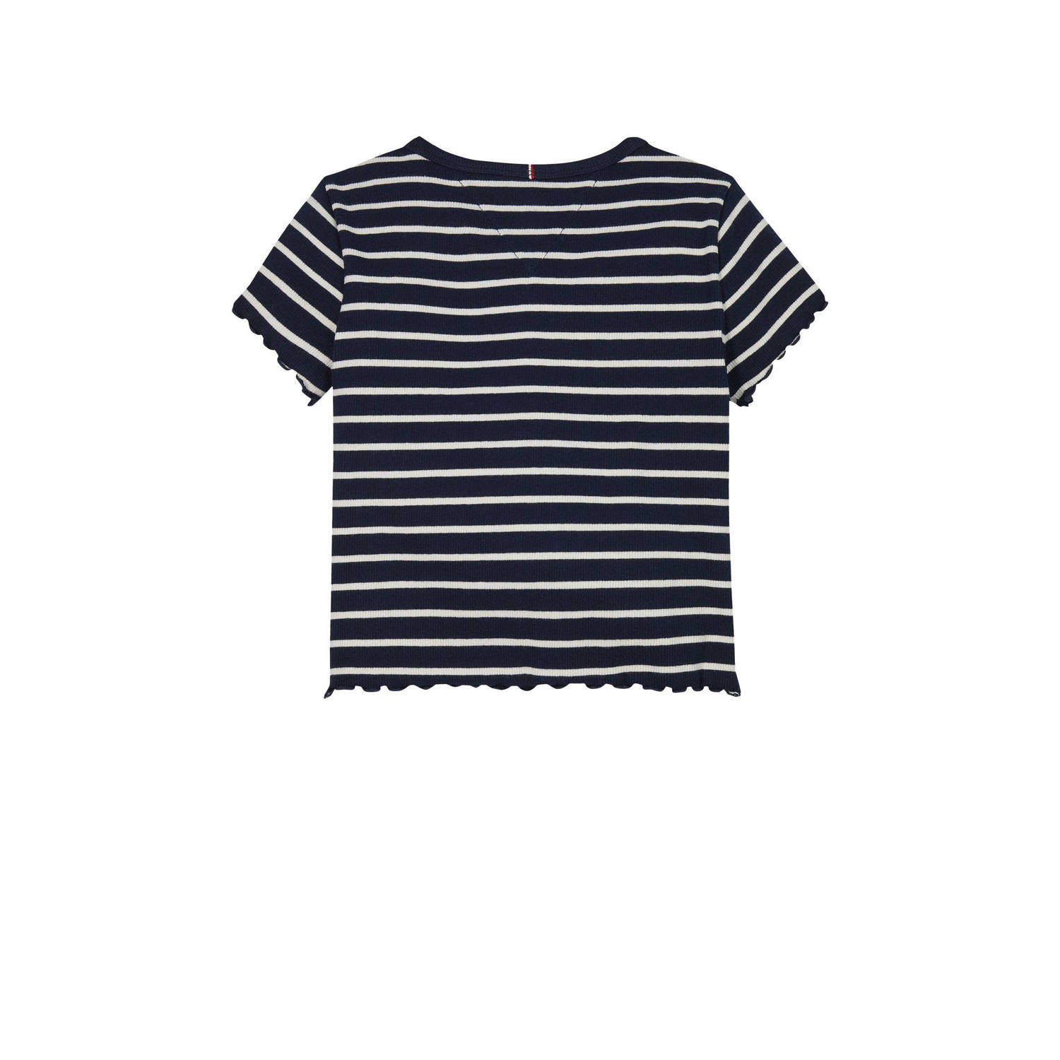 Tommy Hilfiger T-shirt blauw