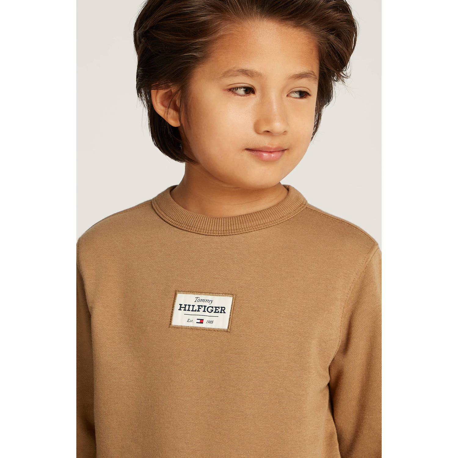 Tommy Hilfiger sweater bruin