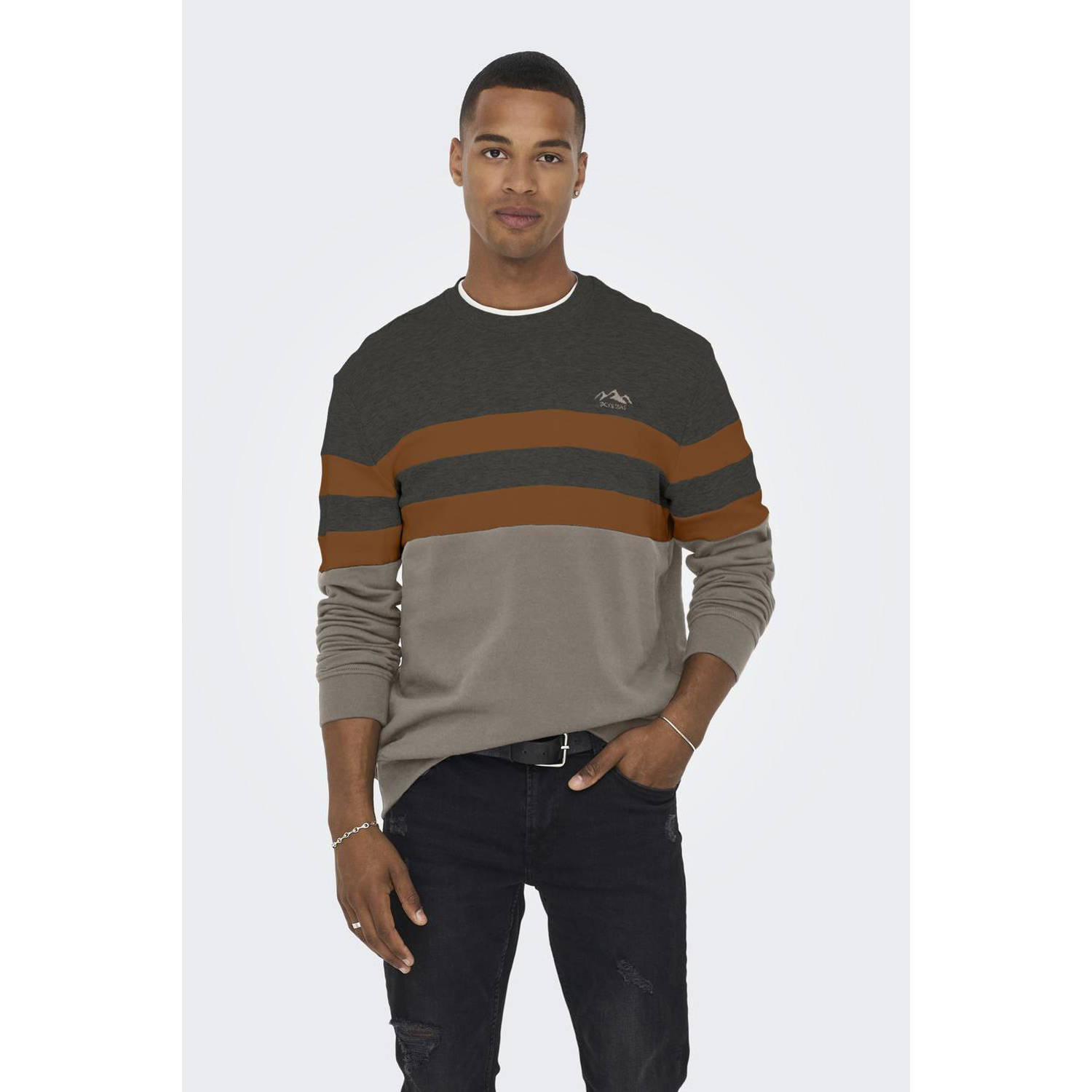 Only & Sons Thor Regular Logo CB Crew Sweater Heren