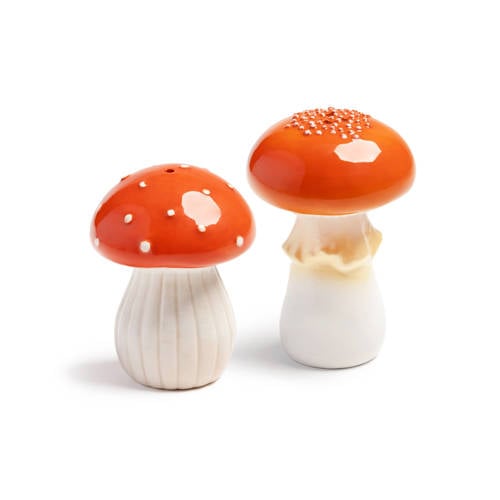 &k amsterdam peper- en zoutstel Mushroom afbeelding