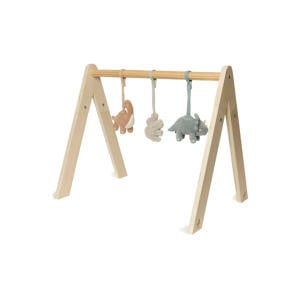 speeltjes voor de babygym Roarsome