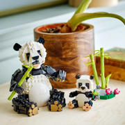 thumbnail: LEGO Creator 3in1 Wilde dieren: pandafamilie speelset 31165