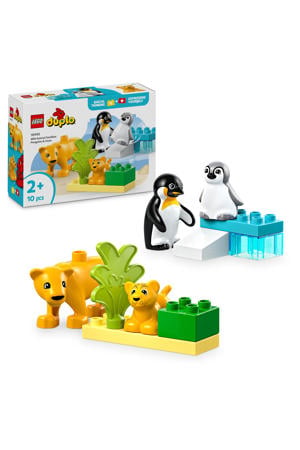 Stad Families van wilde dieren: pinguïns en leeuwen 10442