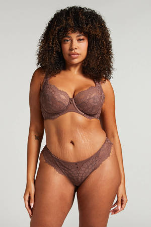 brazilian Daisy bruin