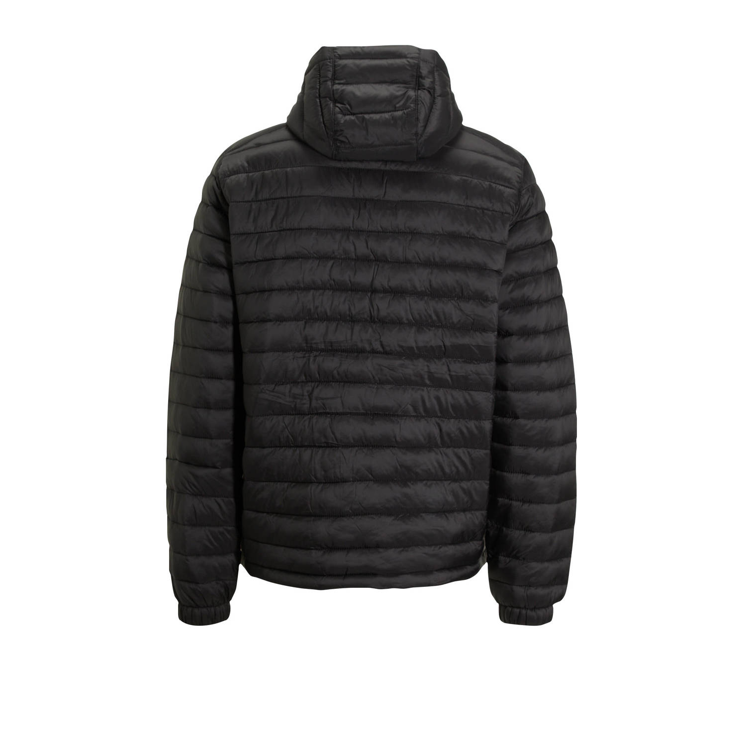 Timberland tussenjas zwart