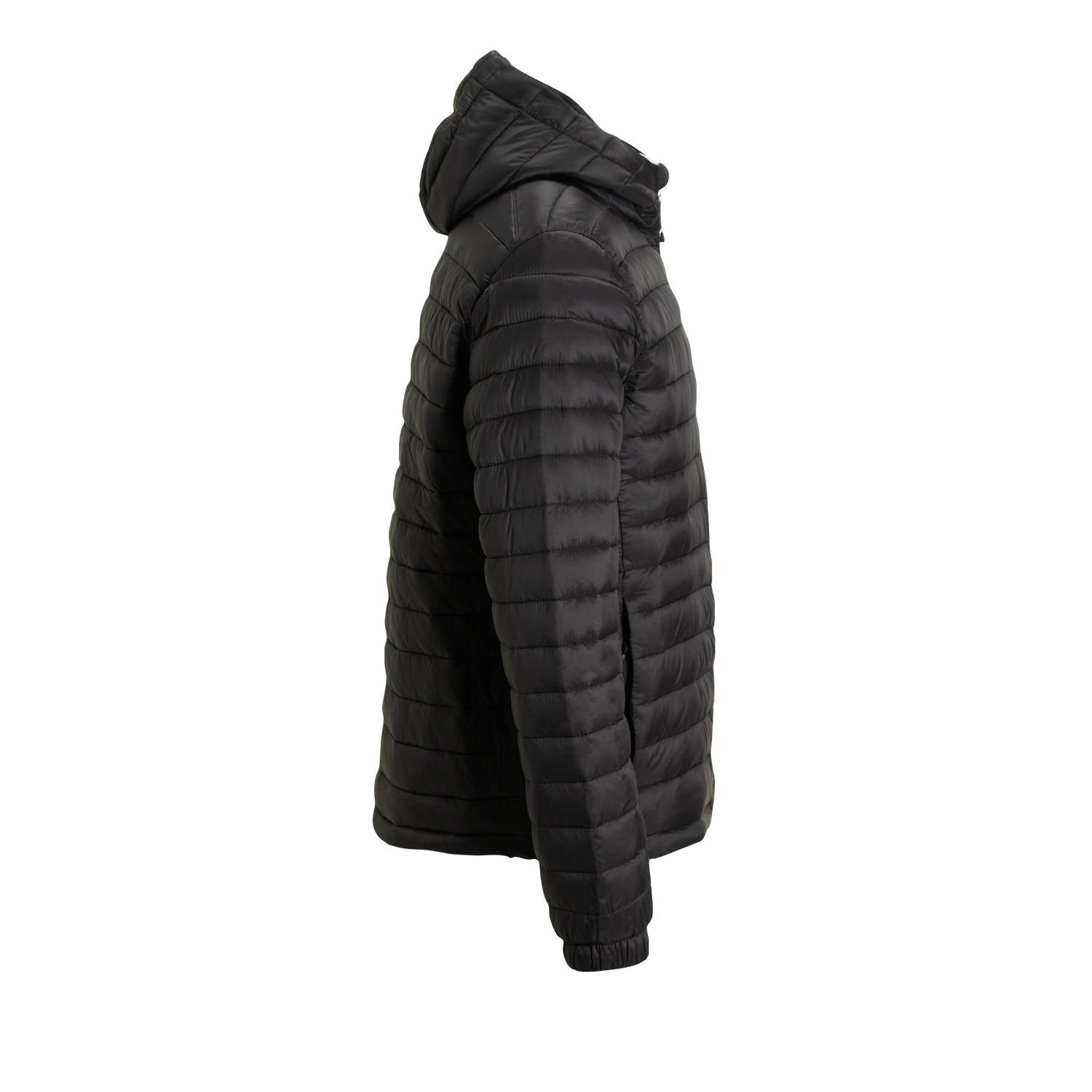 Timberland tussenjas zwart