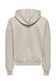 thumbnail: ONLY & SONS hoodie