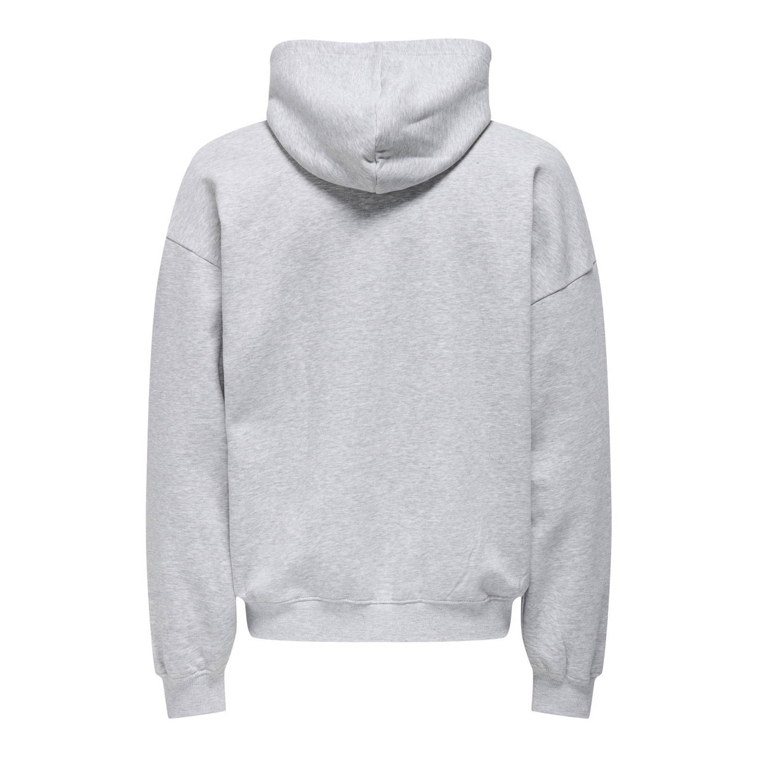 ONLY & SONS hoodie lONSTURNER lichtgrijs