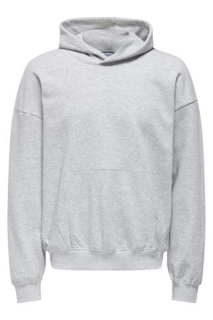 hoodie lONSTURNER lichtgrijs