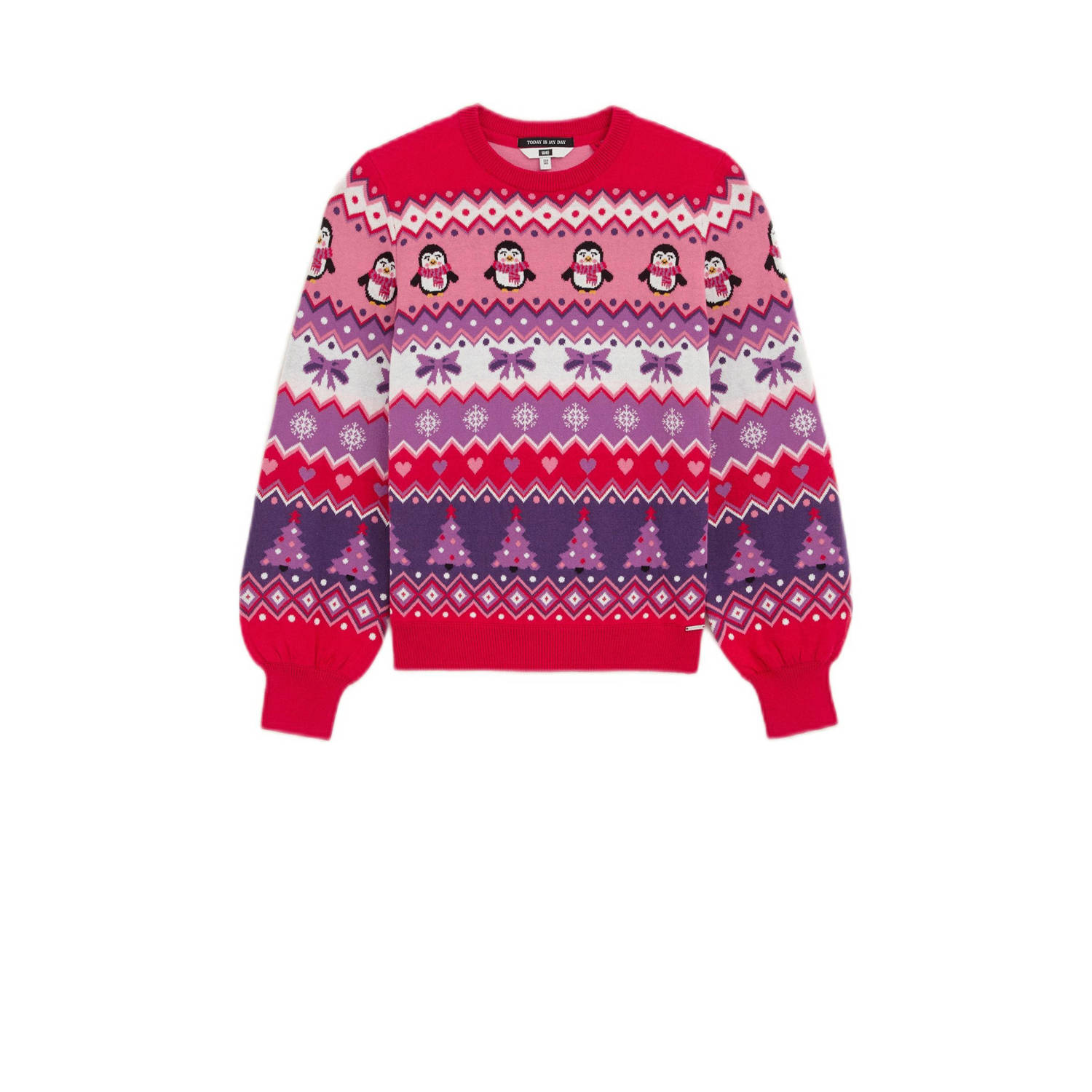 WE Fashion kersttrui paars